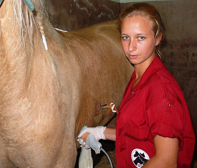 Pleuroneumonía caballo Hospital Veterinario