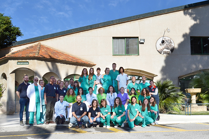 Personal Hospital Veterinario San Vicente