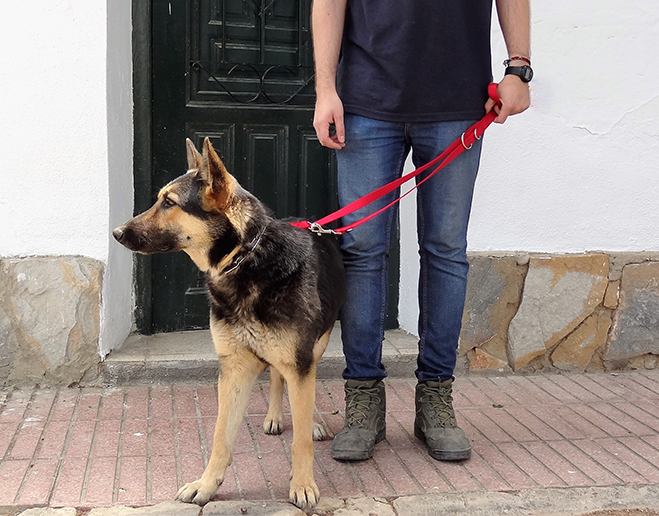 Recogida en domicilio