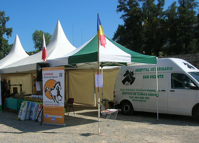 Asistencia veterinaria concurso de salto caballos