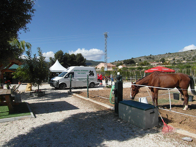 Asistencia veterinaria concurso hípico