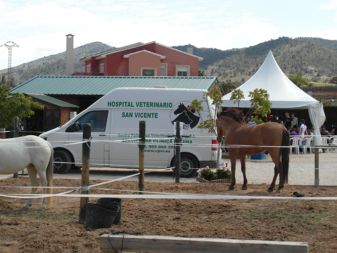 Asistencia veterinaria concurso hípico 2