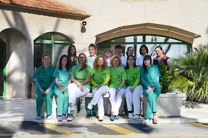 Auxiliares veterinarios y administración