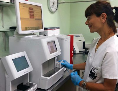 Laboratorio hospital veterinario