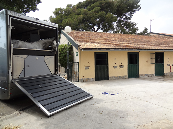 Camión caballos Hospital Veterinario
