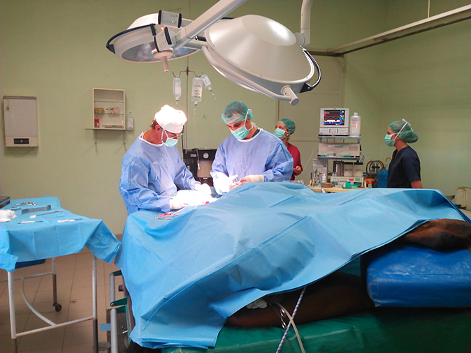 Cirugía caballo Hospital Veterinario