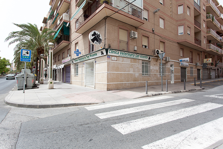 Fachada Clínica Elche 2