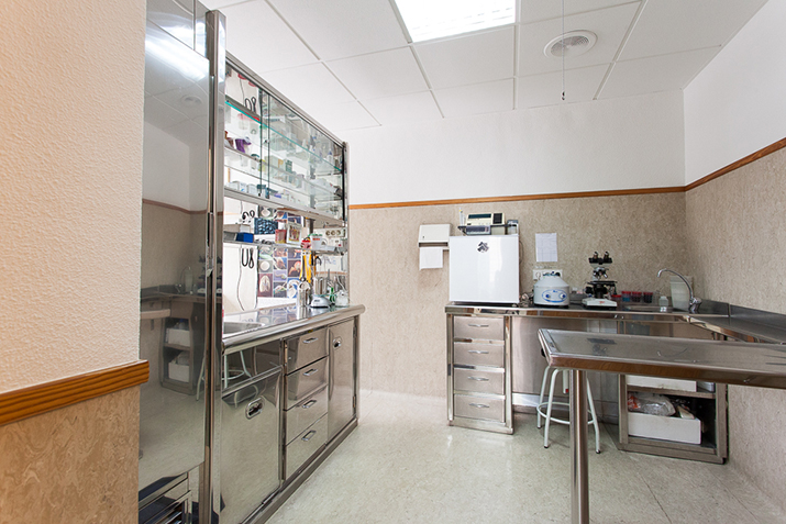 Laboratorio Clínica Elche