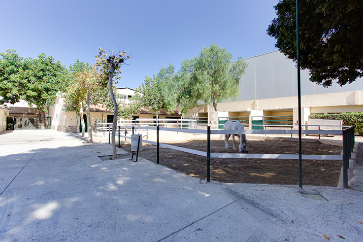 Picadero de caballos