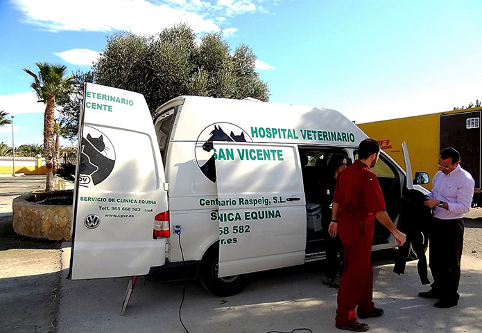 Pre-compra visita caballo, Hospital Veterinario