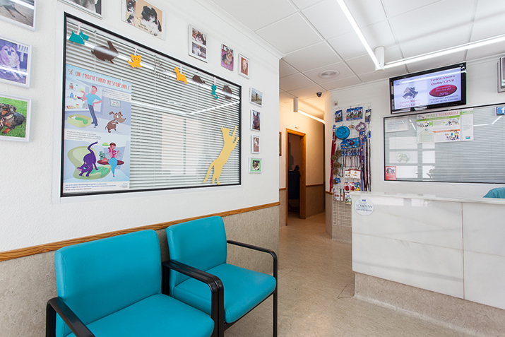 Sala de espera Clínica Elche 2