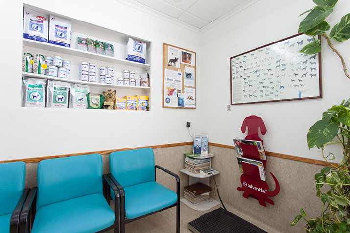 Elche Clinic Waiting Room Hospital Veterinary San Vicente