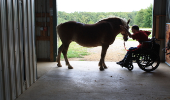 caballos discapacidad