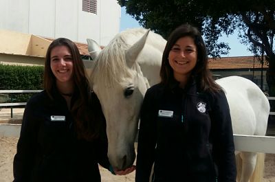 Veterinarios internos caballos marzo 2017