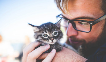 ¿Tiene bien los dientes mi gato?