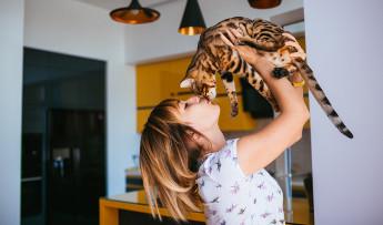 Los cuidados del gato varían según su edad