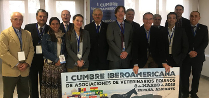 Cumbre iberoamericana veterinarios caballos